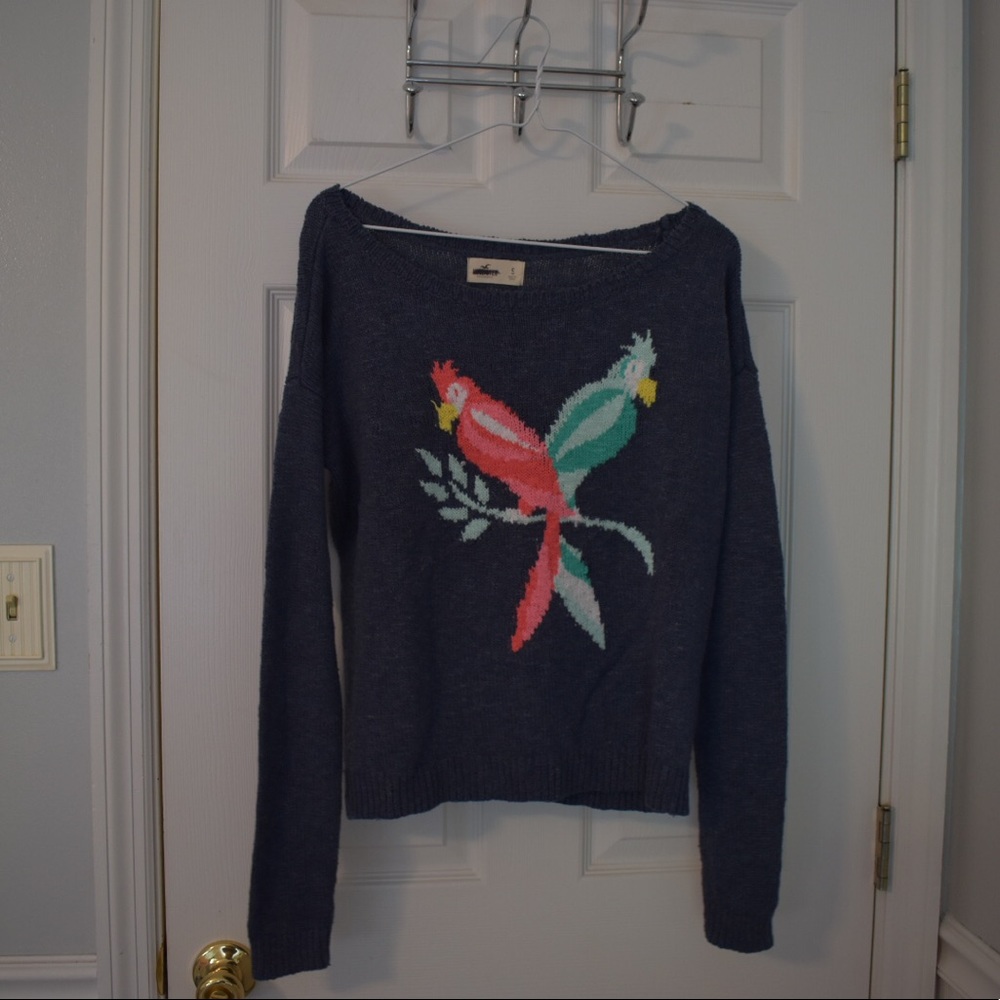 Hollister Sweater